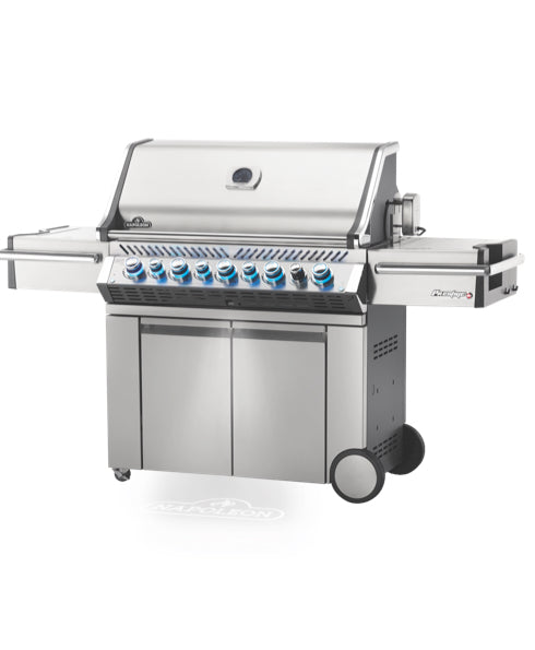 Napoleon outdoor cheap grills